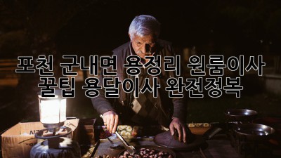 포천 군내면 용정리 원룸이사 꿀팁🍯 용달이사 완전정복!