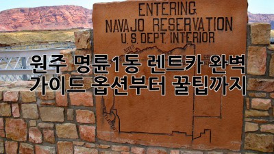 원주 명륜1동 렌트카 완벽 가이드🚗💨 옵션부터 꿀팁까지!